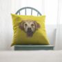 Personalised Pet Portrait Cushion, thumbnail 2 of 11