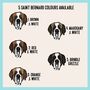 Saint Bernard Print T Shirt, thumbnail 4 of 6