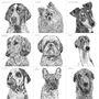 Personalised Dog Portrait, thumbnail 10 of 10