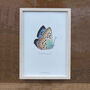 Large Blue Illustrated Butterfly Print, thumbnail 3 of 3