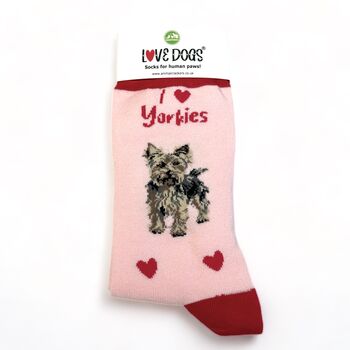 I Love Yorkies Socks Yorkshire Terrier Novelty Gift, 5 of 6