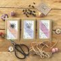 Literary Seeds: The Florals Set Of Three Seed Packets, thumbnail 1 of 6