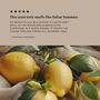 Citrus Bliss Home Fragrance, thumbnail 8 of 8