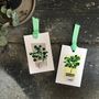 House Plant Gift Wrapping Paper Set, thumbnail 5 of 6