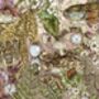 The Prehistoric Eden Serving Tray In Blush Pink Extinct Wildlife Platter By House Of Norris, thumbnail 4 of 4