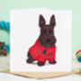 Dog Birthday Card Doggy Dress Up, thumbnail 10 of 12