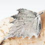 Natural Birch Leaf Brooch In Gold Or Silver, thumbnail 6 of 12