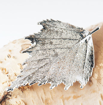 Natural Birch Leaf Brooch In Gold Or Silver, 6 of 12