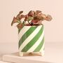 Candy Cane Striped Mini Planter, thumbnail 5 of 7