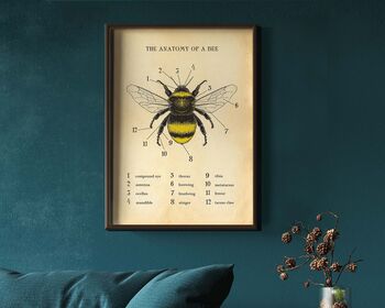 Anatomy Of A Bee Print, 10 of 11