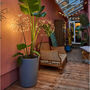 Solar Dandelion Outdoor Stake Light, thumbnail 3 of 4