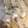 'Come Fly With Me' Papercut Glass Dome, thumbnail 3 of 4