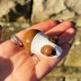 Guinea Pig Keepsake Ornament With Gift Box, thumbnail 7 of 7