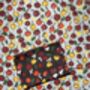 Cherry Pie Tea Towel Grey / Red, thumbnail 2 of 4