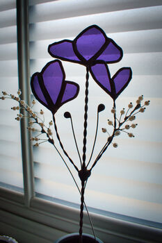 Sweetpea Everlasting Stained Glass Flowers, 9 of 12