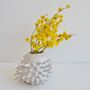 Handmade Small Round White Spiky Ceramic Cactus Vase, thumbnail 1 of 6