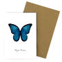 Blue Morpho Butterfly A6 Greetings Cards, thumbnail 5 of 7