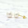 Handpicked Freshwater Gold Plated Pearl Stud Earrings, thumbnail 1 of 4