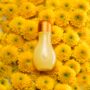Mimosa Fragrance Oil 10ml, thumbnail 1 of 4