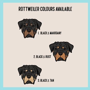 Digue De Bordeaux Kids Sweatshirt, 4 of 7