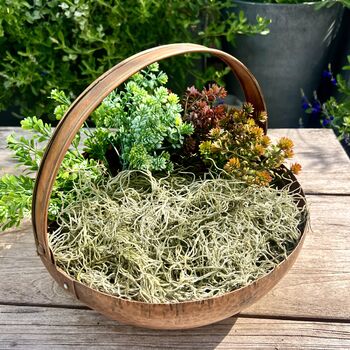 Vintaged Copper Bowl Planter With Handle, 5 of 8