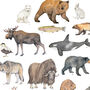 Alaskan Animals Watercolour Print, thumbnail 4 of 4