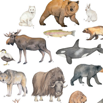 Alaskan Animals Watercolour Print, 4 of 4