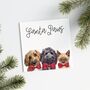 Two Or More Pet Personalised 'Christmas Bow' Card, thumbnail 3 of 8