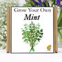 Garden Gift. Grow Your Own Herbs. Mint Craft Kit, thumbnail 1 of 6