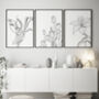 Set Of Three Contemporary Floral Art Prints, thumbnail 1 of 8