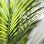 Artificial Parlour Palm In Pot, thumbnail 3 of 4