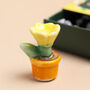 Tiny Matchbox Ceramic Plant Pot Token, thumbnail 2 of 4