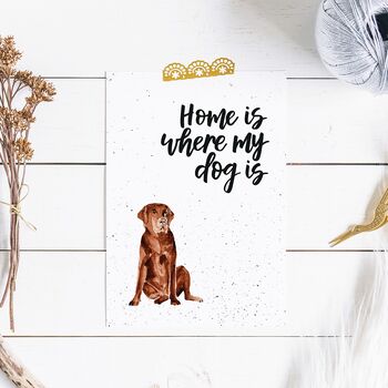 Home Is Where My Dog Is Chocolate Labrador Print, 6 of 6