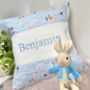 Blue Farmyard Name Cushion, thumbnail 1 of 7