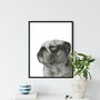 Hand Drawn Bulldog Pet A4 Print, thumbnail 1 of 4