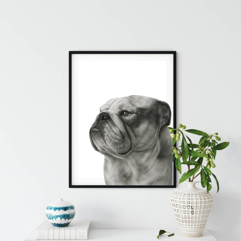 Hand Drawn Bulldog Pet A4 Print, 1 of 4