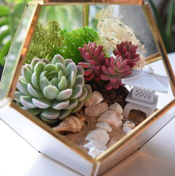 Gold Geometric Terrarium Kit With Succulent Christmas Plant Lover Gift, 2 of 7