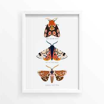 Moth Trio Art Print, 2 of 5