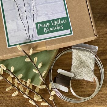 Pussy Willow Brances Bead Craft Kit, 3 of 4