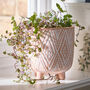 Diamond Patterned Terracotta Footed Plant Pot, thumbnail 1 of 5