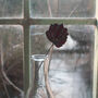 Red Clover Stained Glass Flower, thumbnail 5 of 9