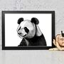 Black And White Panda Bear Portrait Art Print, thumbnail 2 of 2