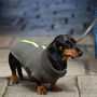 Dachshund Polartec Water Resistant Dog Coat, thumbnail 1 of 10