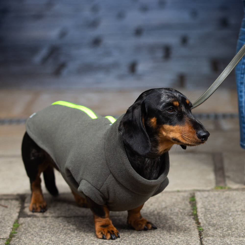 Dachshund Polartec Water Resistant Dog Coat, 1 of 10
