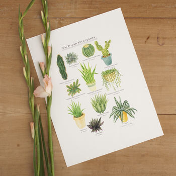 Cacti And Succulents Illustrated Giclée Print, 5 of 7