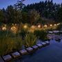 Dandelion Garden Solar Light In Green, thumbnail 2 of 4