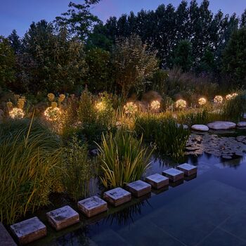 Dandelion Garden Solar Light In Green, 2 of 4