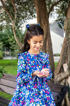 Sofia Girls Cotton Dress With Matching Hair Clip, 3 of 5