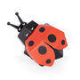 Create Your Own Ladybird, thumbnail 3 of 3