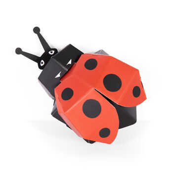 Create Your Own Ladybird, 3 of 3